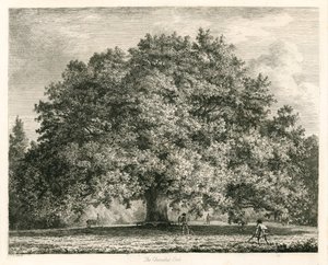 Le Chêne Chandos, Michendon House, Southgate, Londres - Jacob George Strutt