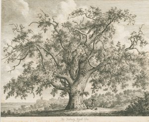 Tutbury - "Orme de Wych" : gravure