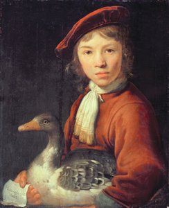 Garçon avec une oie