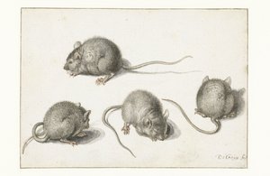 Quatre études d