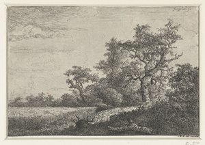 Le Champ de blé - Jacob van Ruisdael