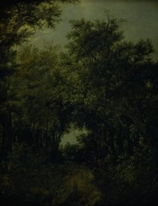 Route dans une forêt de chênes