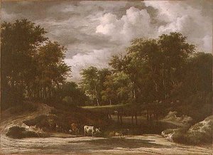 Paysage boisé