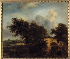 Le buisson - Jacob van Ruisdael