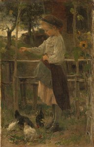 Nourrir les poules