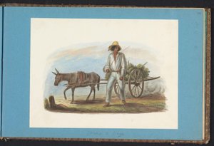Homme avec une charrette de bananes - Jacob Marius Adriaan Martini van Geffen