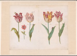 Feuille d