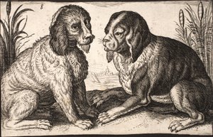 Deux chiens au bord d