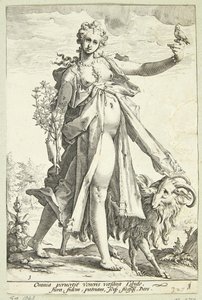 Volupté
