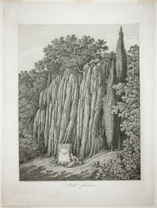 Saule pleureur - Jacob Philipp Hackert