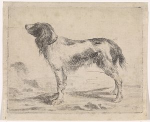 Chien debout - Jacob Toorenvliet