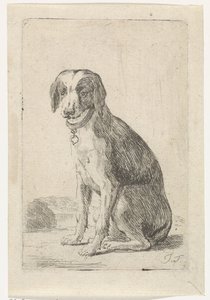 Chien assis avec collier - Jacob Toorenvliet