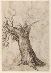 Châtaignier avec quelques arbres autour - Jacob de Gheyn (II)