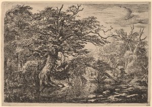 Un marais forestier avec des voyageurs sur une rive (Les Voyageurs) - Jacob van Ruisdael
