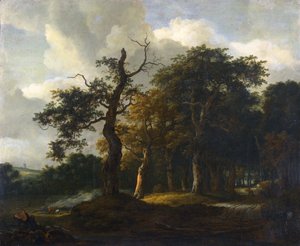 Une route à travers un bois de chênes