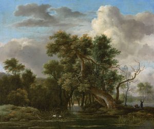 Une piscine en forêt - Jacob van Ruisdael