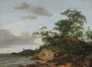 Dunes par la mer - Jacob van Ruisdael