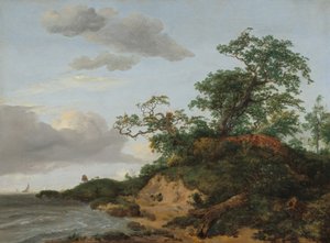 Dunes près de la mer - Jacob van Ruisdael