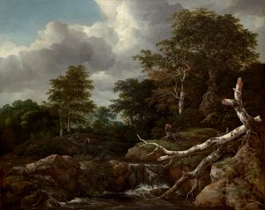 Scène de forêt, vers 1655 - Jacob van Ruisdael