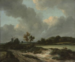 Champs de blé