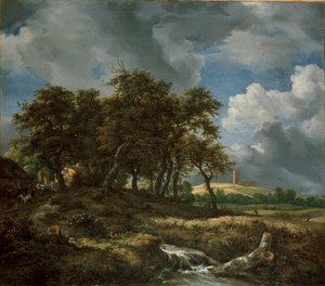 Paysage près de Muiderberg