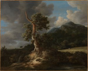  - Jacob van Ruisdael