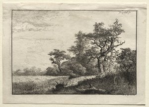 Le champ de blé - Jacob van Ruisdael