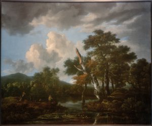 Paysage forestier avec un étang