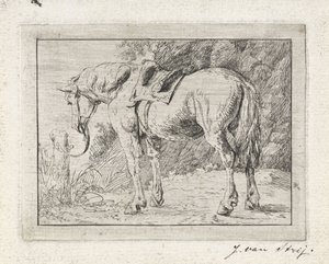 Cheval sellé attaché à un poteau - Jacob van Strij