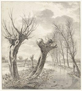 Paysage d