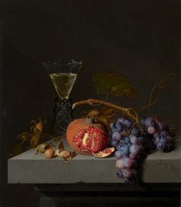 Nature morte avec fruits - Jacob van Walscapelle