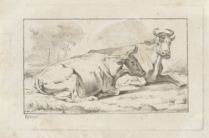 Deux vaches couchées - Jacobus Buys