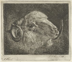 Tête de bélier avec des cornes tournées vers l