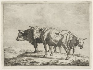 Trois bœufs - Jacobus Cornelis Gaal