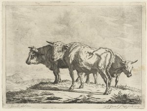 Trois bœufs - Jacobus Cornelis Gaal
