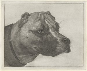Tête de chien avec collier - Jacobus Cornelis Gaal