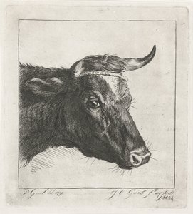 Tête de vache avec corde autour des cornes - Jacobus Cornelis Gaal