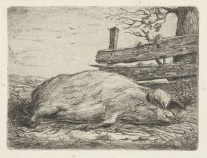 Sanglier couché - Jacobus Cornelis Gaal