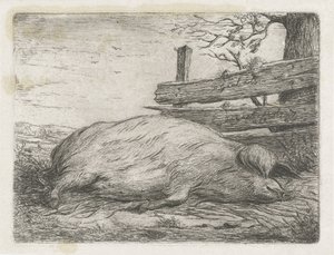 Sanglier couché - Jacobus Cornelis Gaal