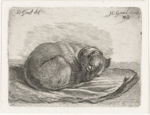 Chien endormi, couché sur une couverture - Jacobus Cornelis Gaal
