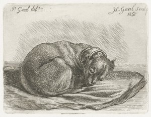 Chien endormi, couché sur une couverture - Jacobus Cornelis Gaal