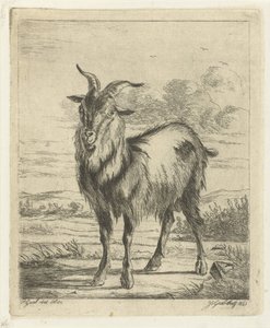 Chèvre debout - Jacobus Cornelis Gaal
