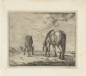 Deux chevaux broutant
