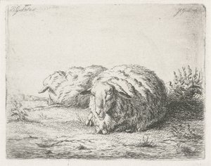 Deux moutons couchés - Jacobus Cornelis Gaal