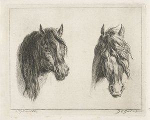Deux têtes de chevaux - Jacobus Cornelis Gaal