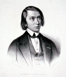 Portrait de Josephus Hermanus Verhulst (1816-91) - Jacobus Everardus Josephus van den (after) Berg