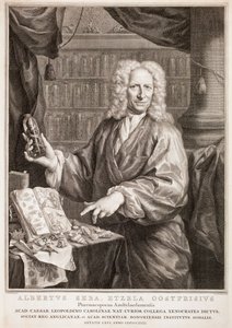  - Jacobus Houbraken