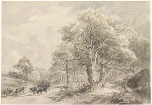 Paysage d