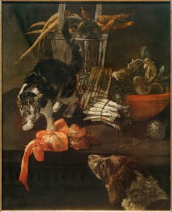 Cuisine avec chien et chat