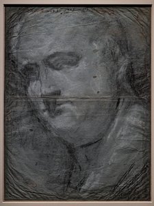 Portrait de Vitellio Grimani - Jacopo (1510 92) Bassano